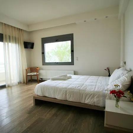 Amoutsa Seaside Vila *